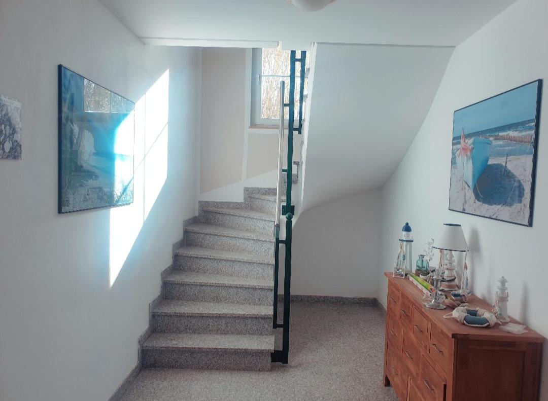 Appartementhaus Ostseeluft レーメ エクステリア 写真